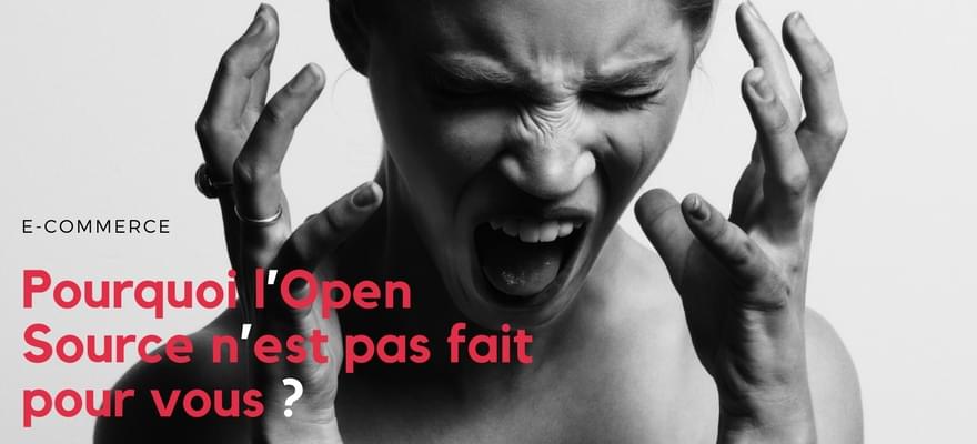 Pourquoi les plateformes e-commerce Open Source ne sont pas faites pour vous ⛔️