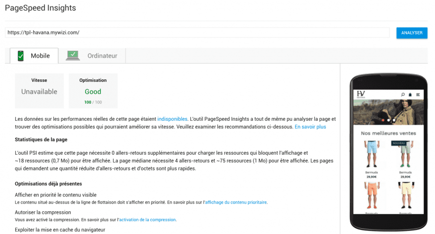 test-google-pagespeed-insight
