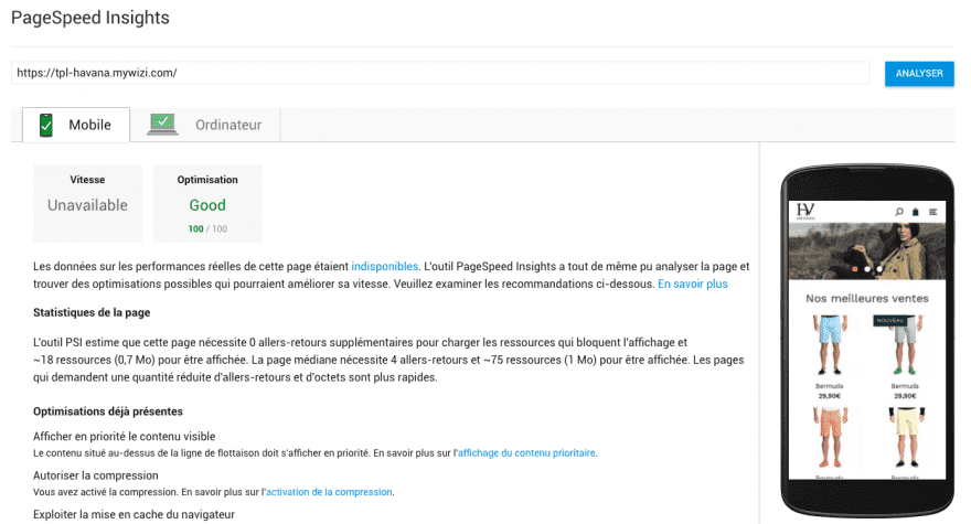 test-google-pagespeed-insight