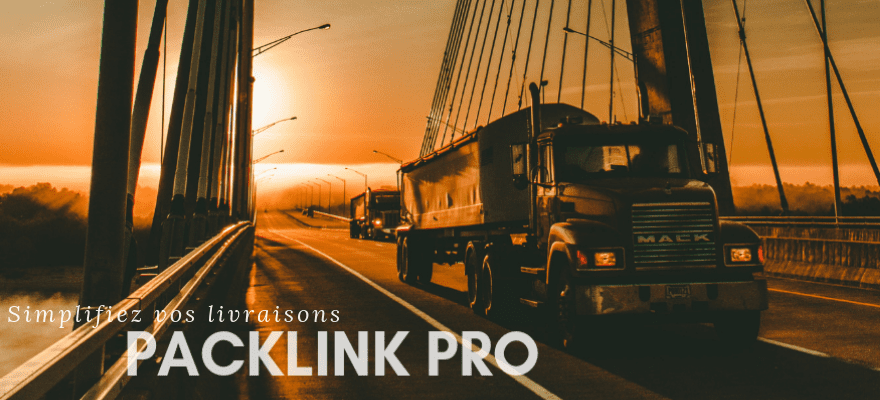 Simplifiez vos livraisons avec Packlink Pro