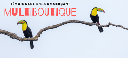 Multiboutique : Témoignage d’un e-commerçant qui gère plusieurs sites e-commerce