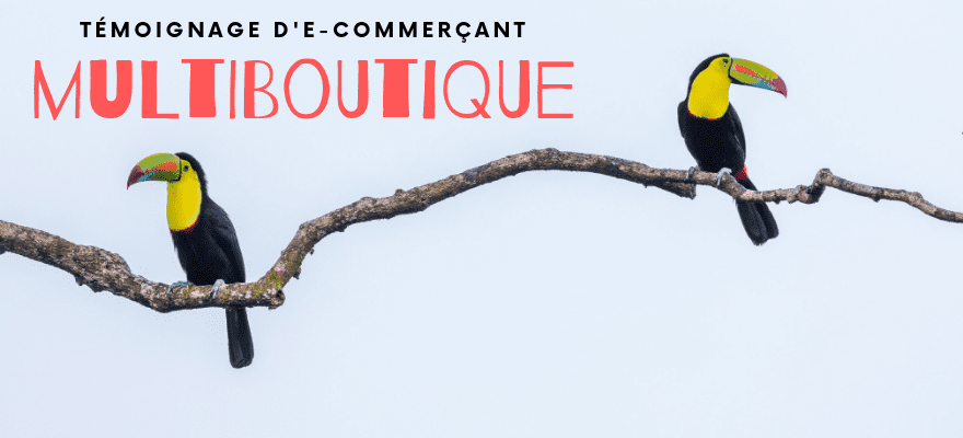 Multiboutique : Témoignage d’un e-commerçant qui gère plusieurs sites e-commerce