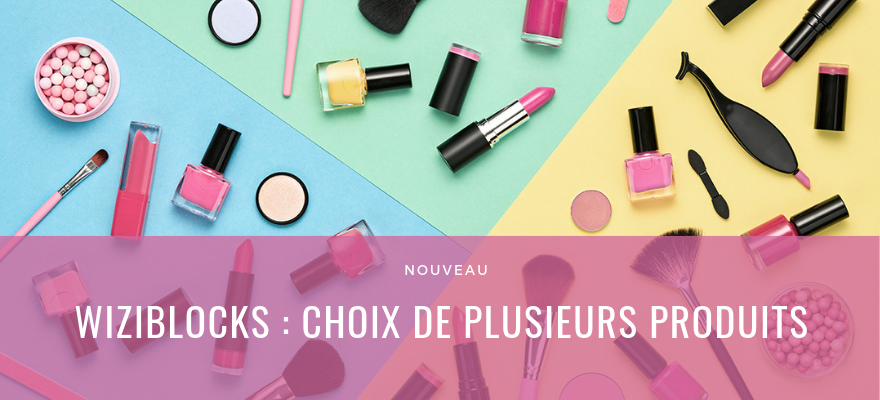 Wiziblocks : Choix des produits dans les listes