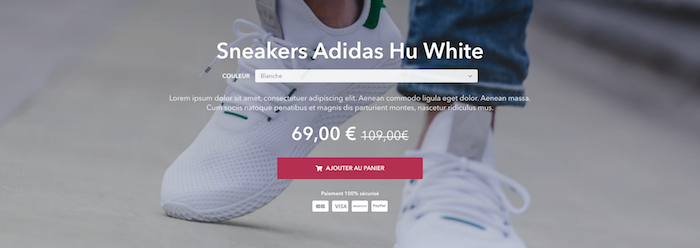 exemple-bloc-site-mono-produit