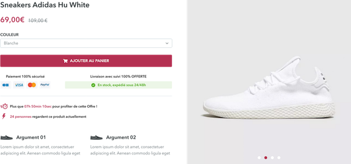 exemple-bloc-site-mono-produit-wizishop-dropizi-1