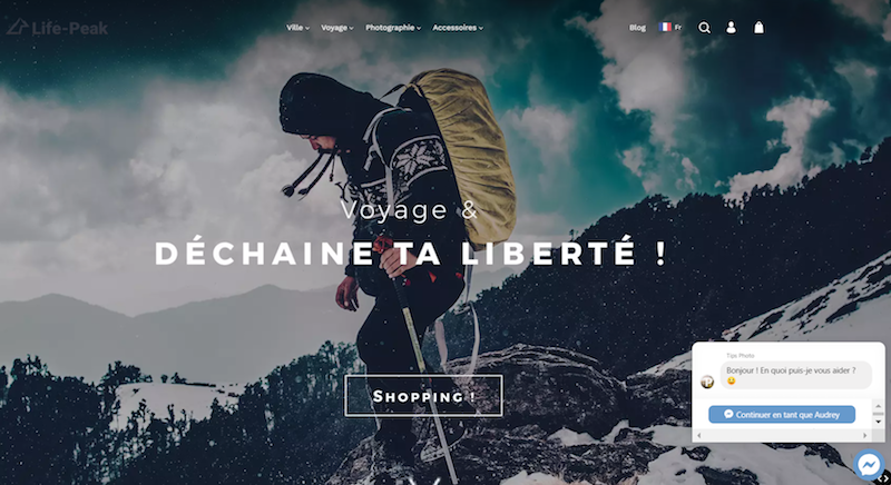 live-chat-boutique-wizishop