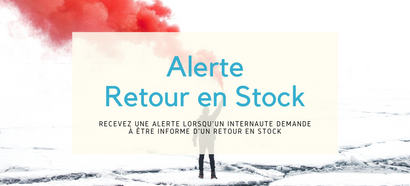 Recevez une alerte lorsqu’un visiteur demande à être prévenu d’un retour en stock