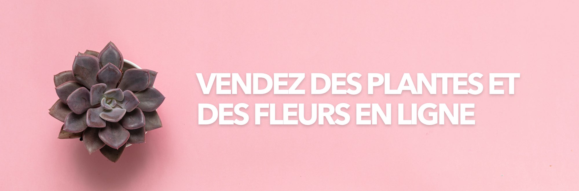 vendre plantes fleurs ligne