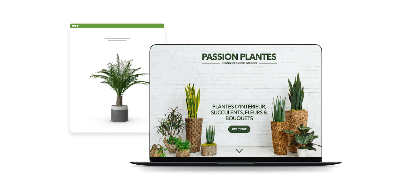 vendre fleurs plantes