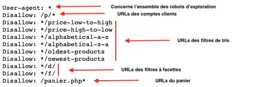 robots-txt-wizishop-boutique