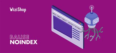 Balise meta robots noindex : Définition et bonnes pratiques SEO pour gérer l'indexation