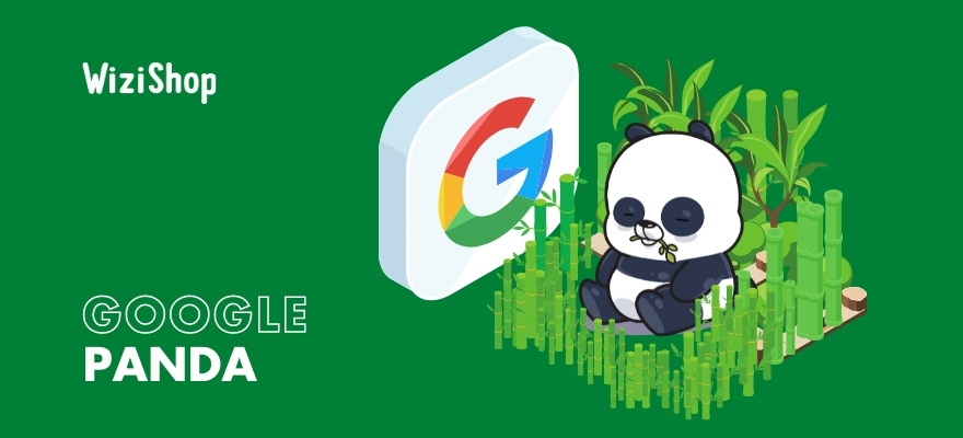 Google Panda : définition de cet algorithme, sites impactés et bonnes pratiques