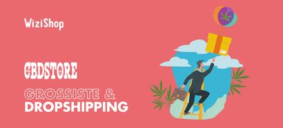 Thecbdstore.fr : grossiste et fournisseur en produits CBD