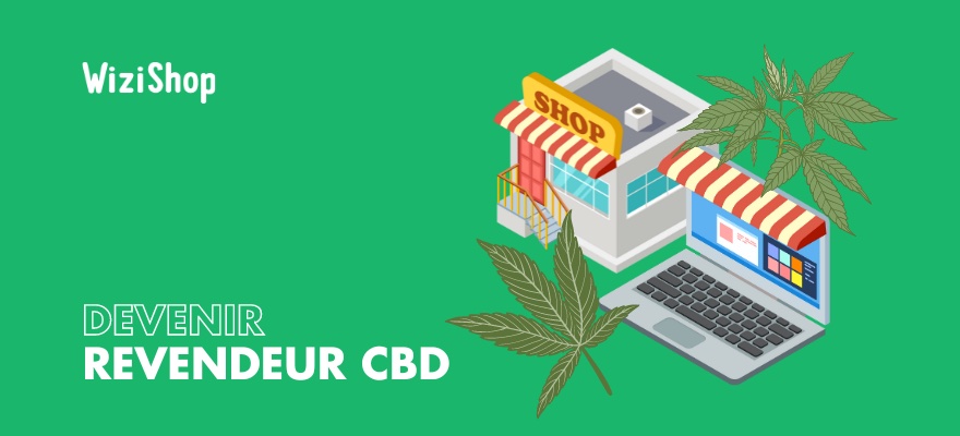 Comment devenir revendeur CBD en France ? Stratégies et étapes clés pour se lancer