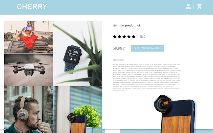 dropizi-dropshipping