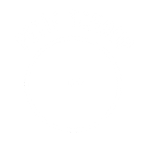 petit_tchoup_logo.png