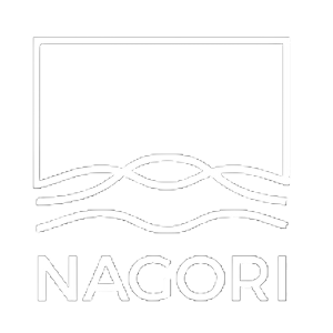 logo-nagori.png
