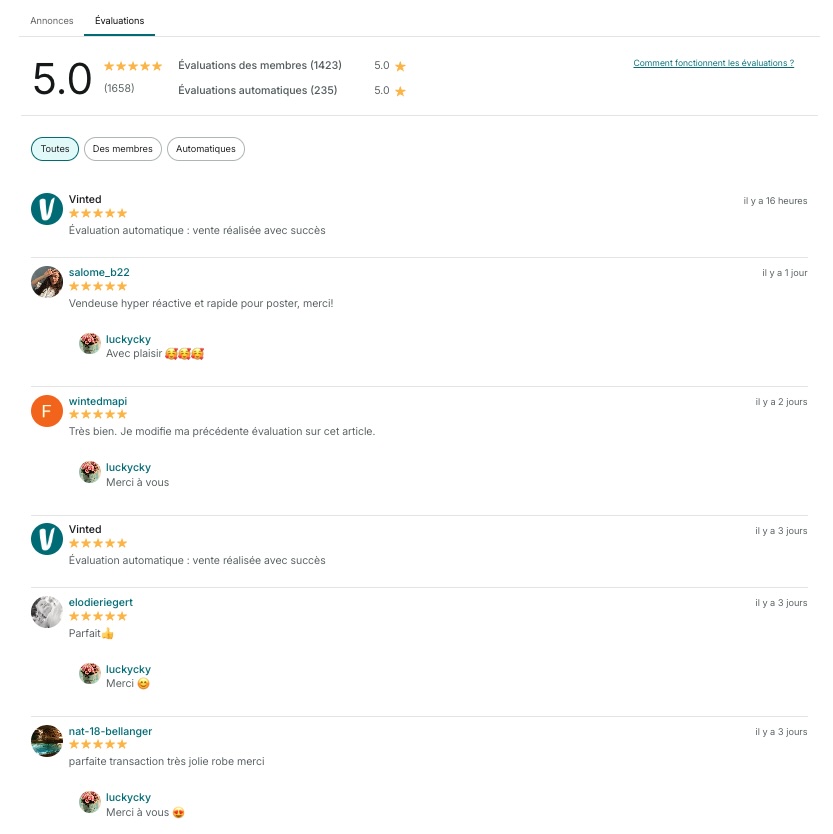 vinted-avis