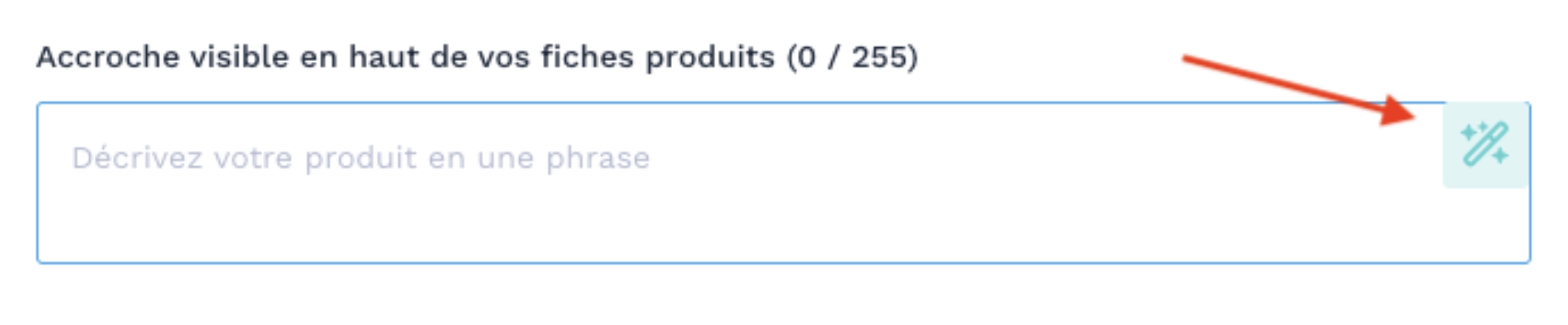 ia-fiche-wizishop