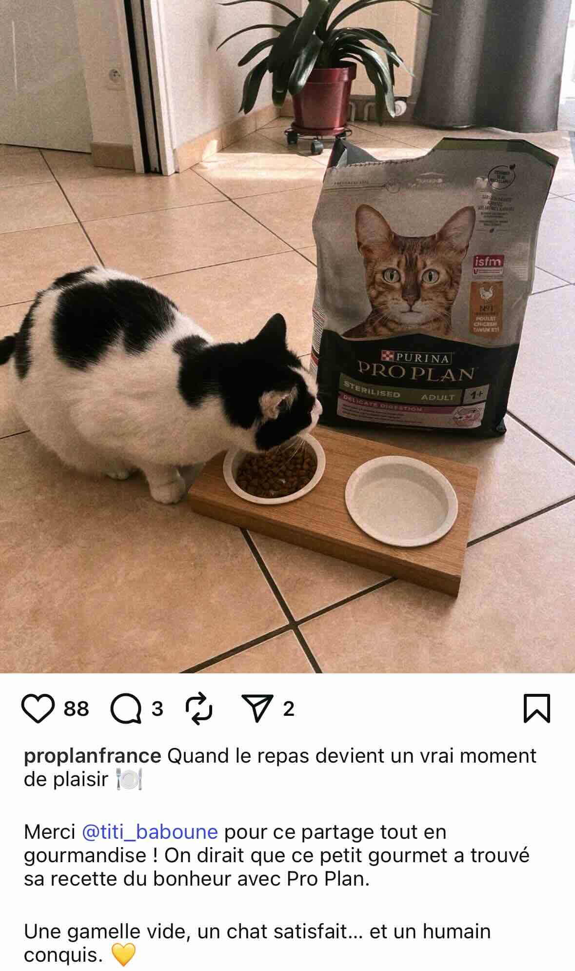 proplan-ugc