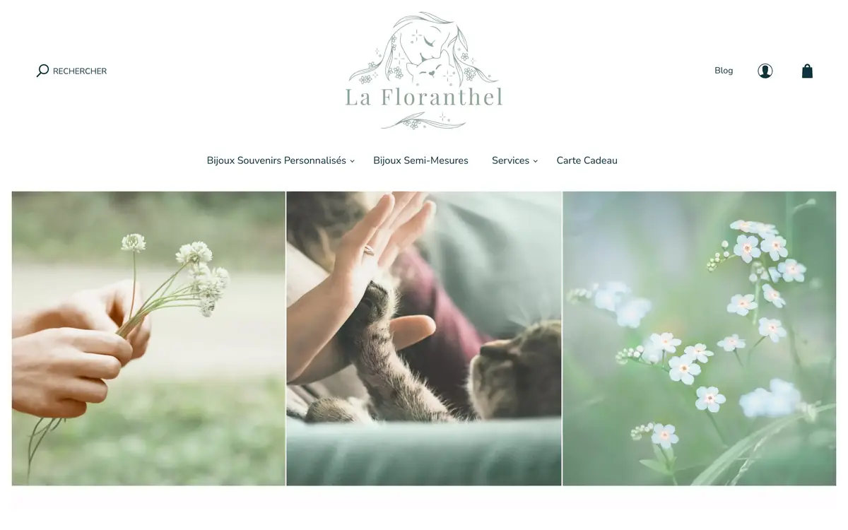 Page d'accueil de la boutique La Floranthel